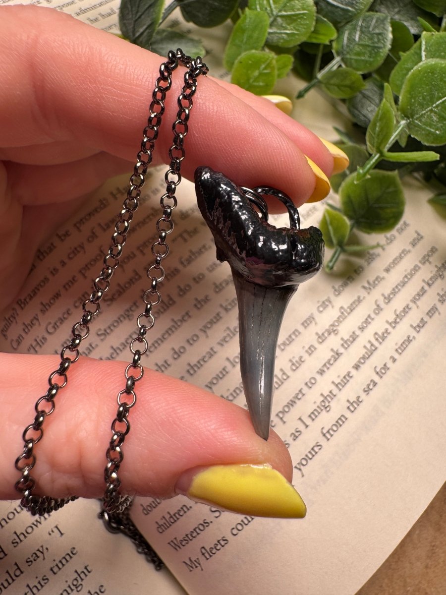 Shark Tooth Necklace detail view by Copper Ashes