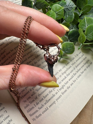 Shark Tooth Necklace by Copper Ashes