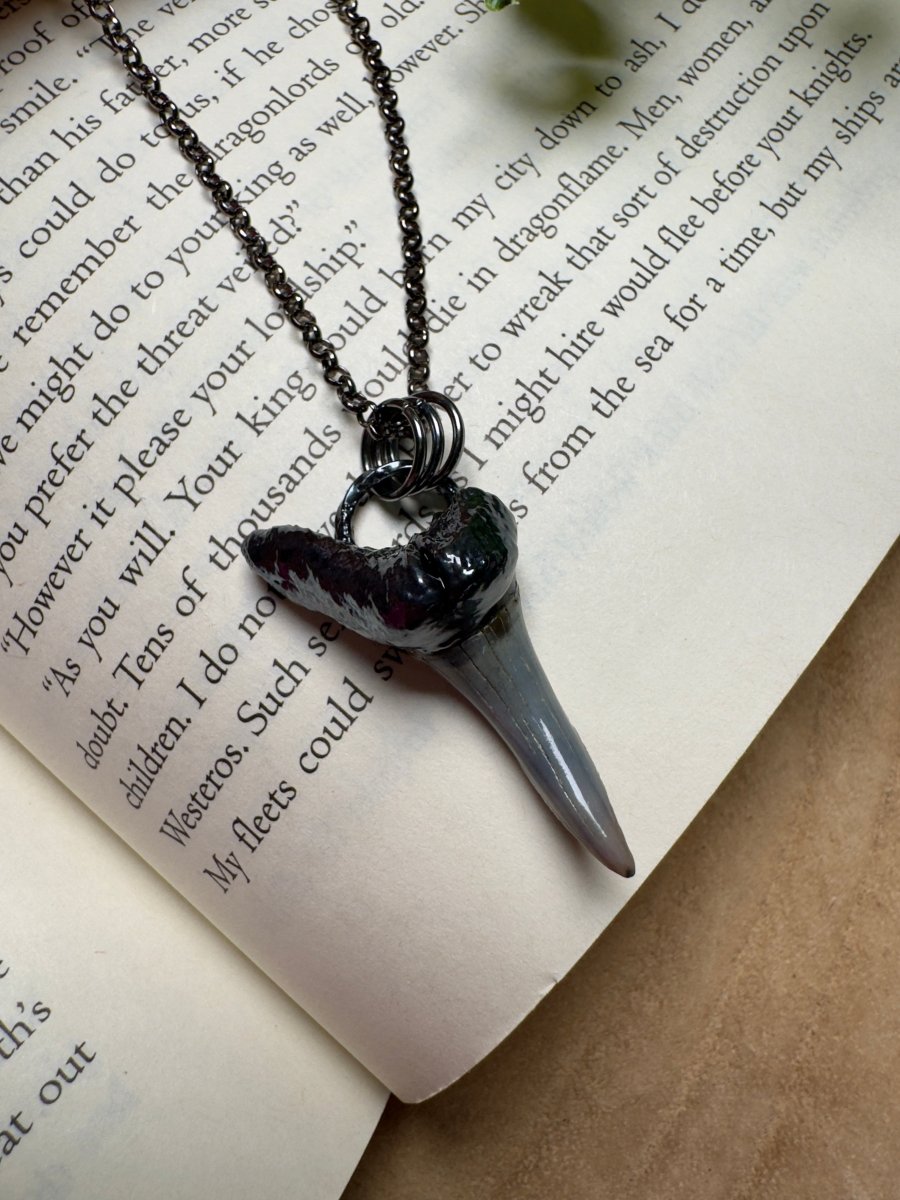Shark Tooth Necklace by Copper Ashes