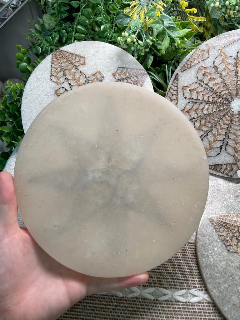 Shell Resin Decorative Plate A detail view by Copper Ashes