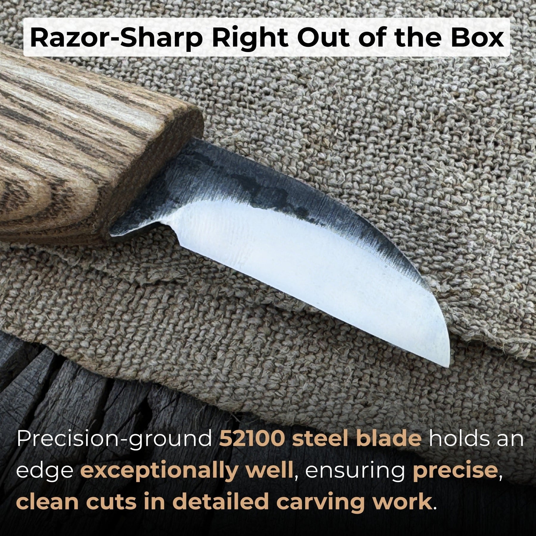 Small Chip Carving Knife, 3 cm (1.2 inches) detail view by Sharky Forged Steel Tools
