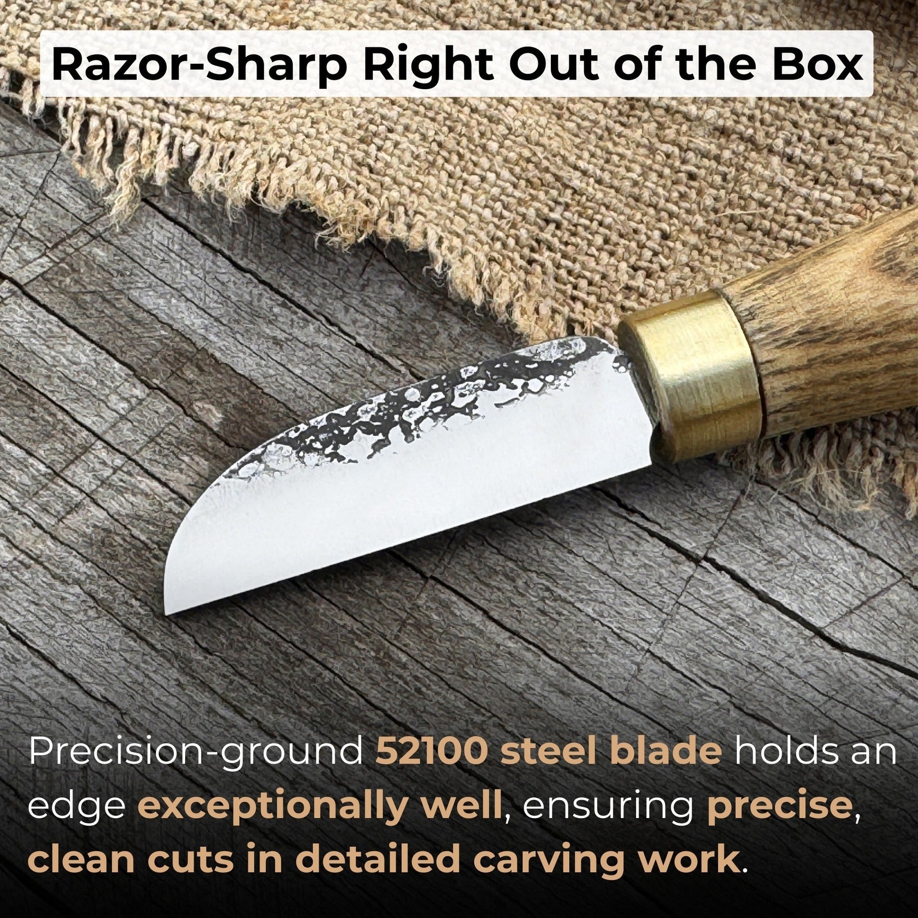 Small Chip Carving Knife, 4 cm (1.57 inches) detail view by Sharky Forged Steel Tools
