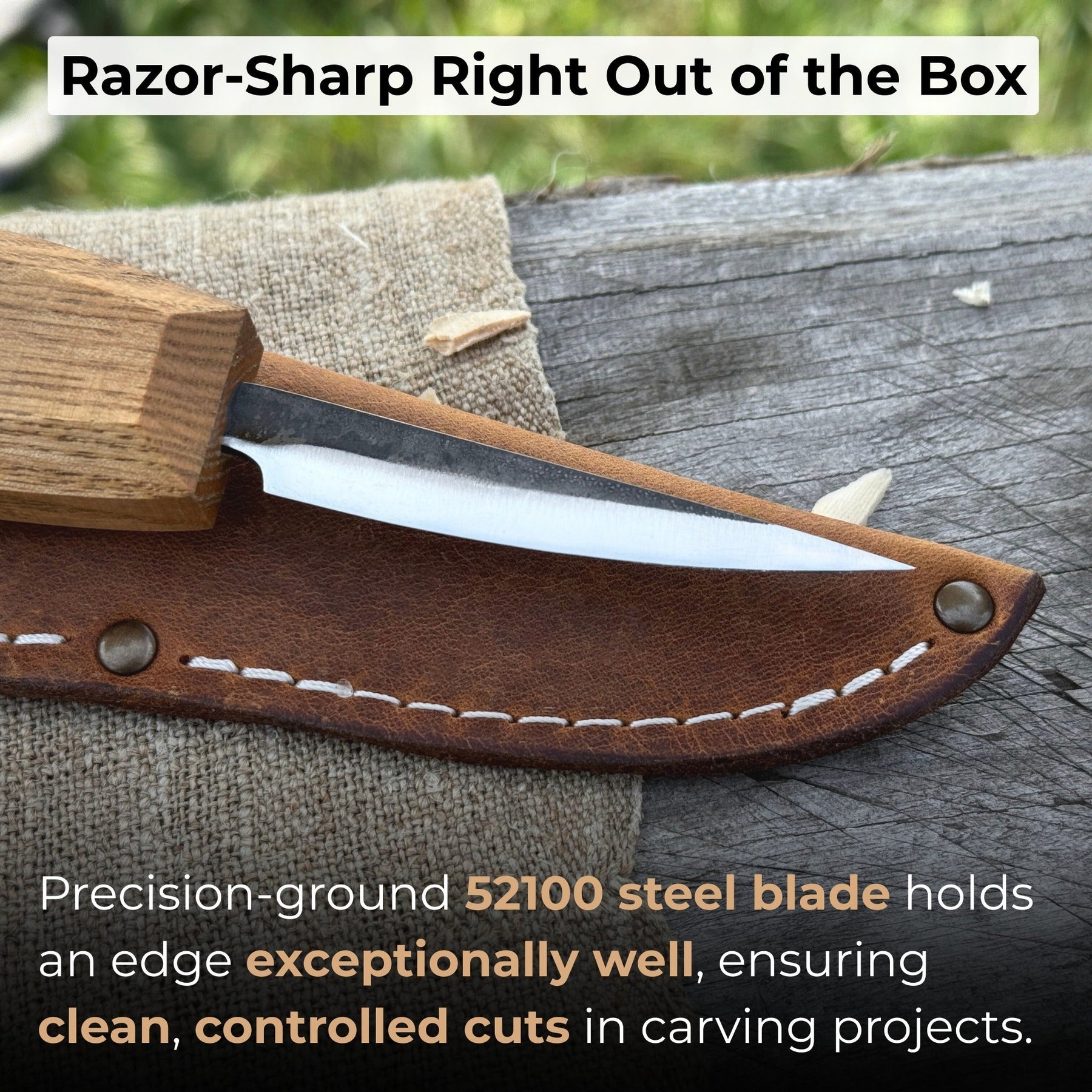 Small Sloyd Carving Knife, Blade 6.5 cm (2.56 inches) detail view by Sharky Forged Steel Tools