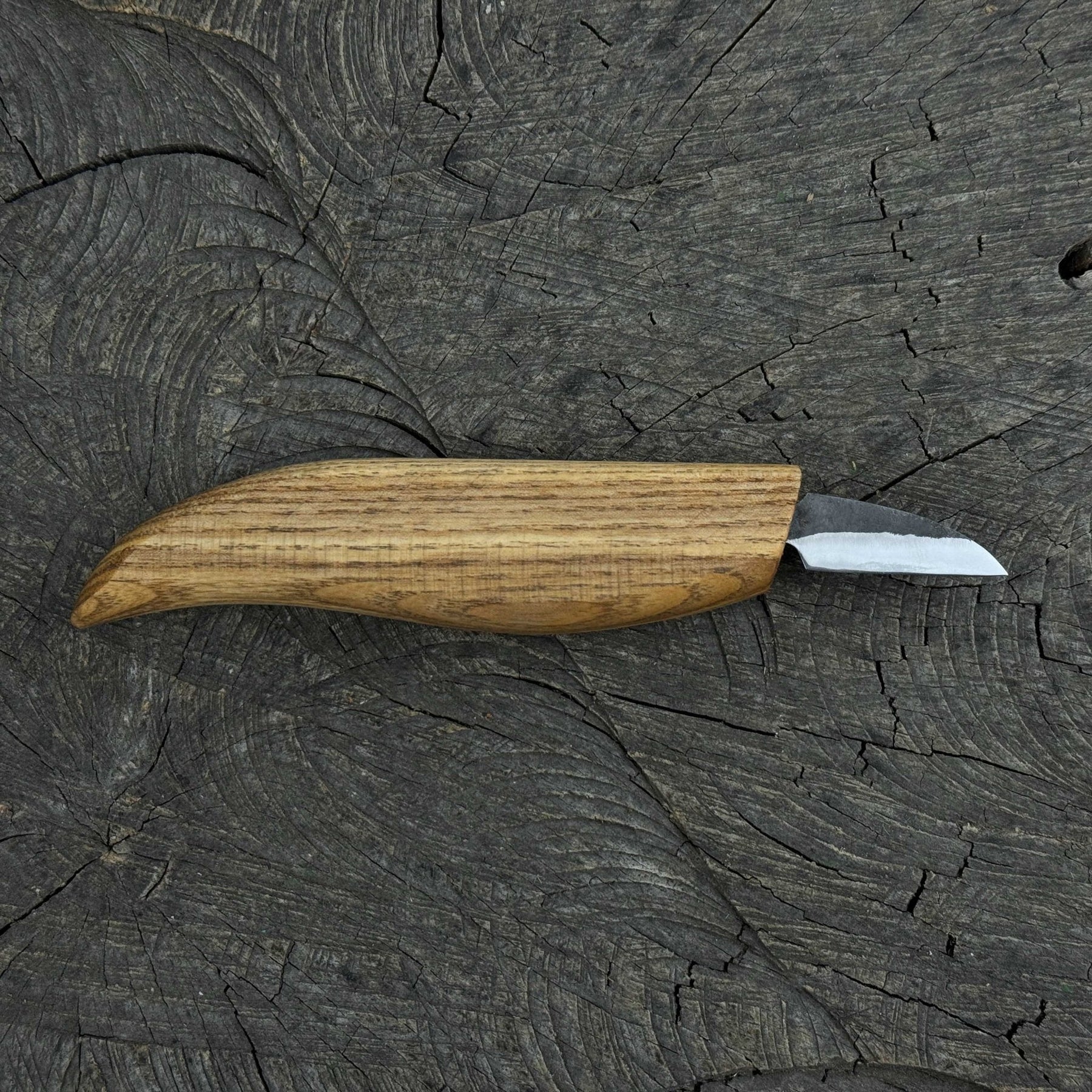Small Whittling Carving Knife, 3.5 cm (1.38 inches) detail view by Sharky Forged Steel Tools