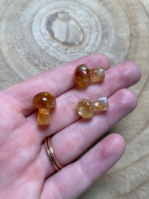 Sunshine Amethyst Mushroom by Copper Ashes