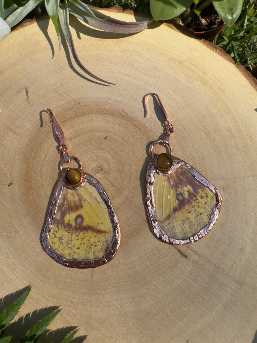 Tigers Eye and Imperial Moth Wing Earrings detail view by Copper Ashes