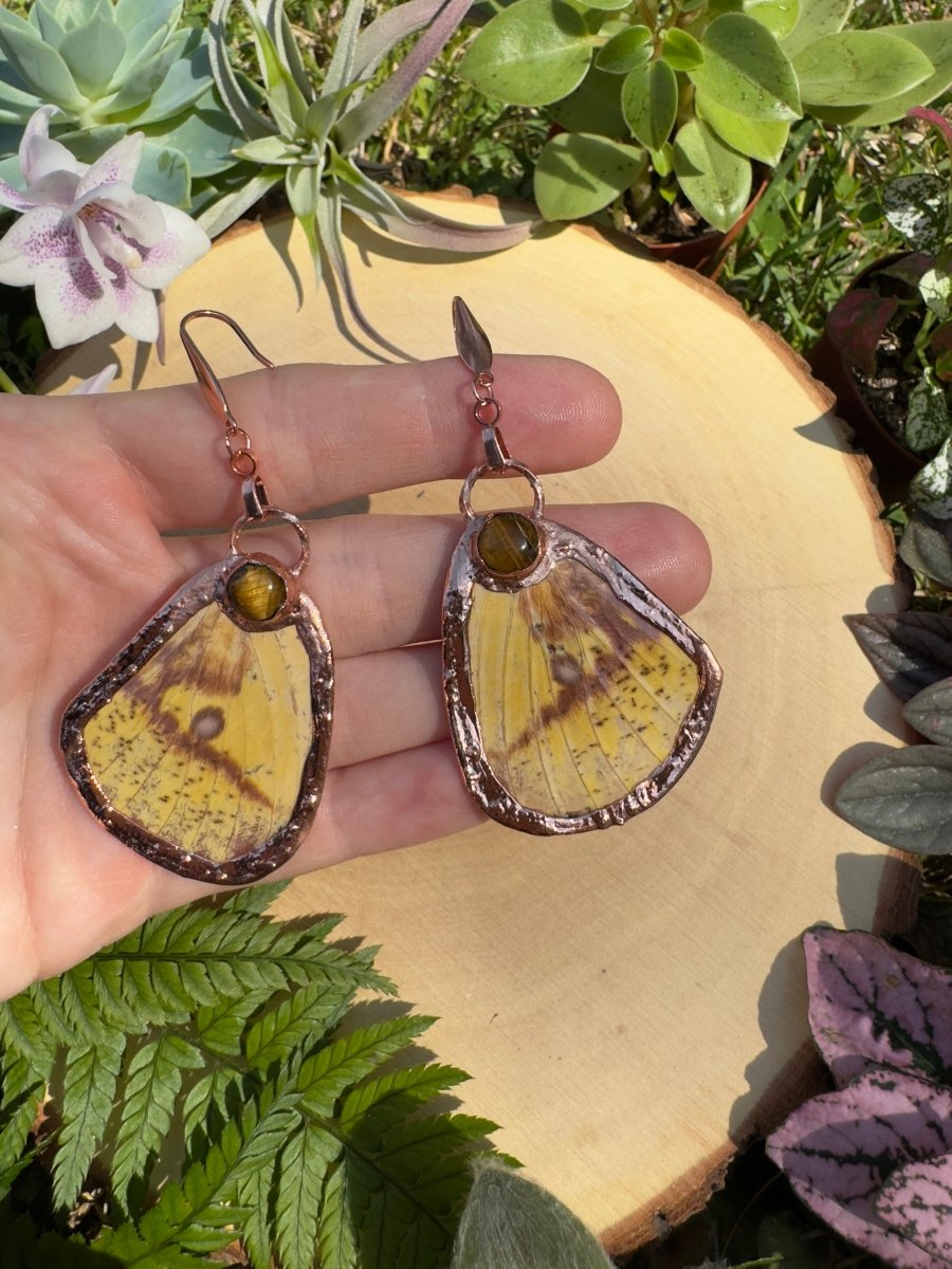 Tigers Eye and Imperial Moth Wing Earrings detail view by Copper Ashes