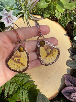 Tigers Eye and Imperial Moth Wing Earrings by Copper Ashes