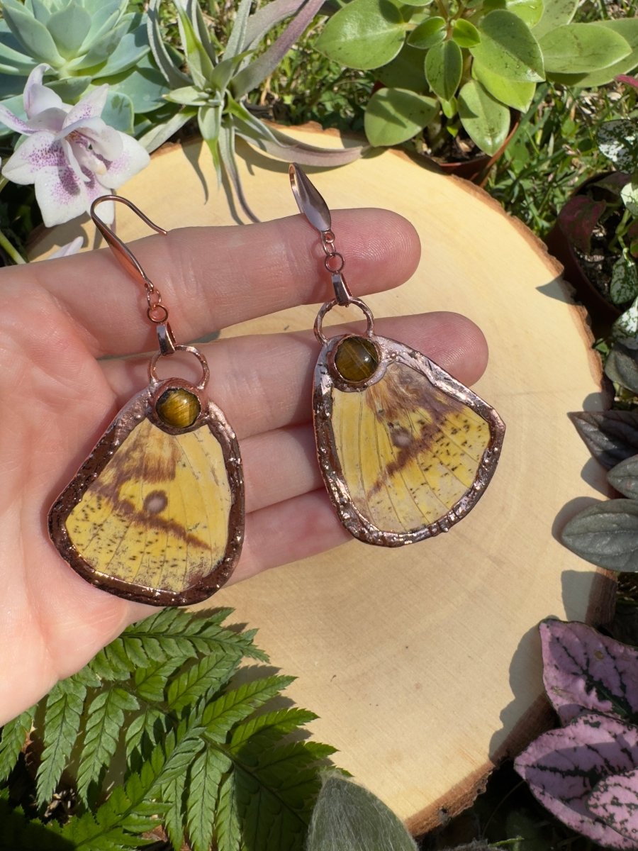 Tigers Eye and Imperial Moth Wing Earrings by Copper Ashes
