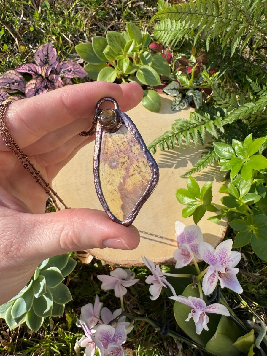 Tigers Eye and Imperial Moth Wing Necklace by Copper Ashes