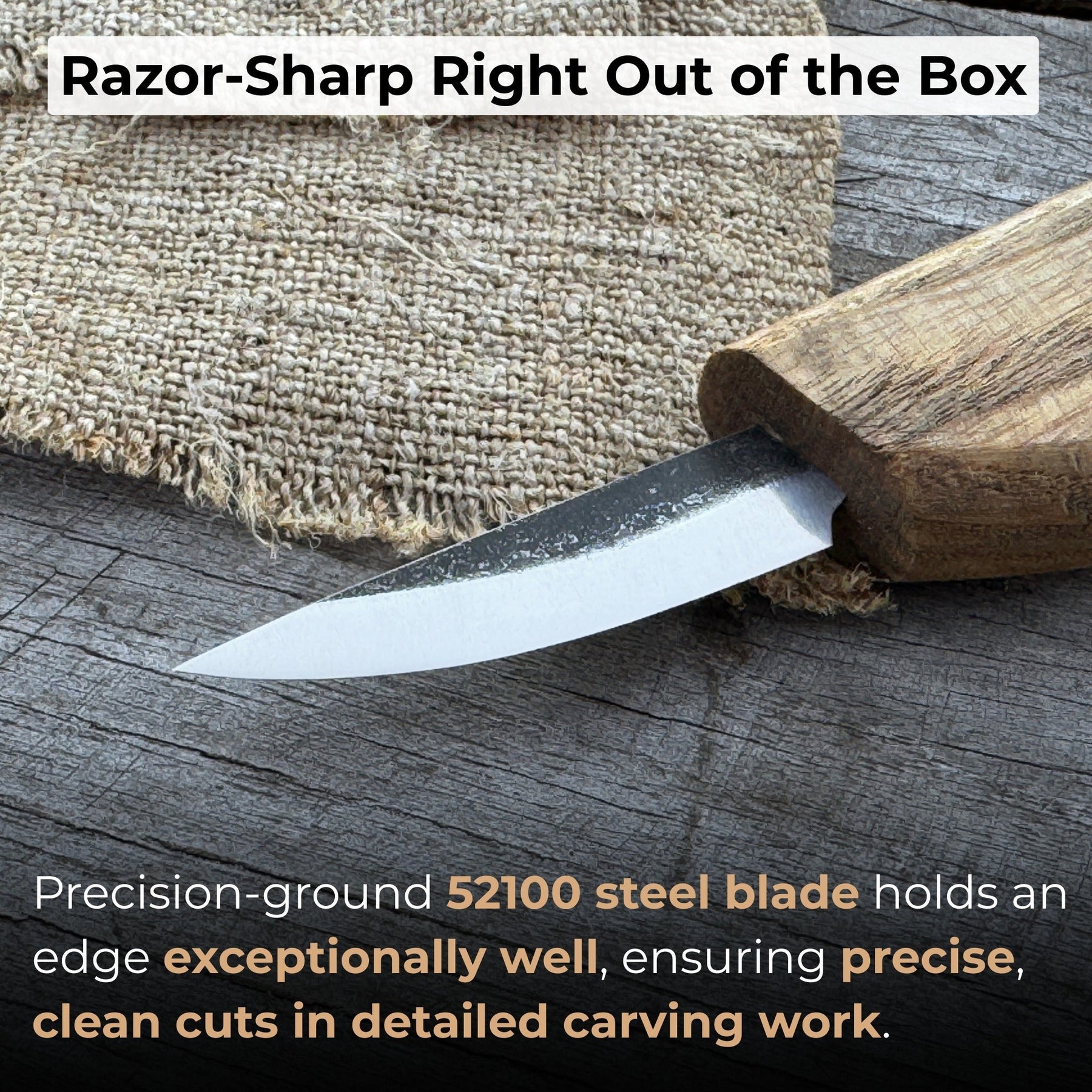 Whittling Knife for Wood Carving, 4.5 cm (1.77 inches) detail view by Sharky Forged Steel Tools