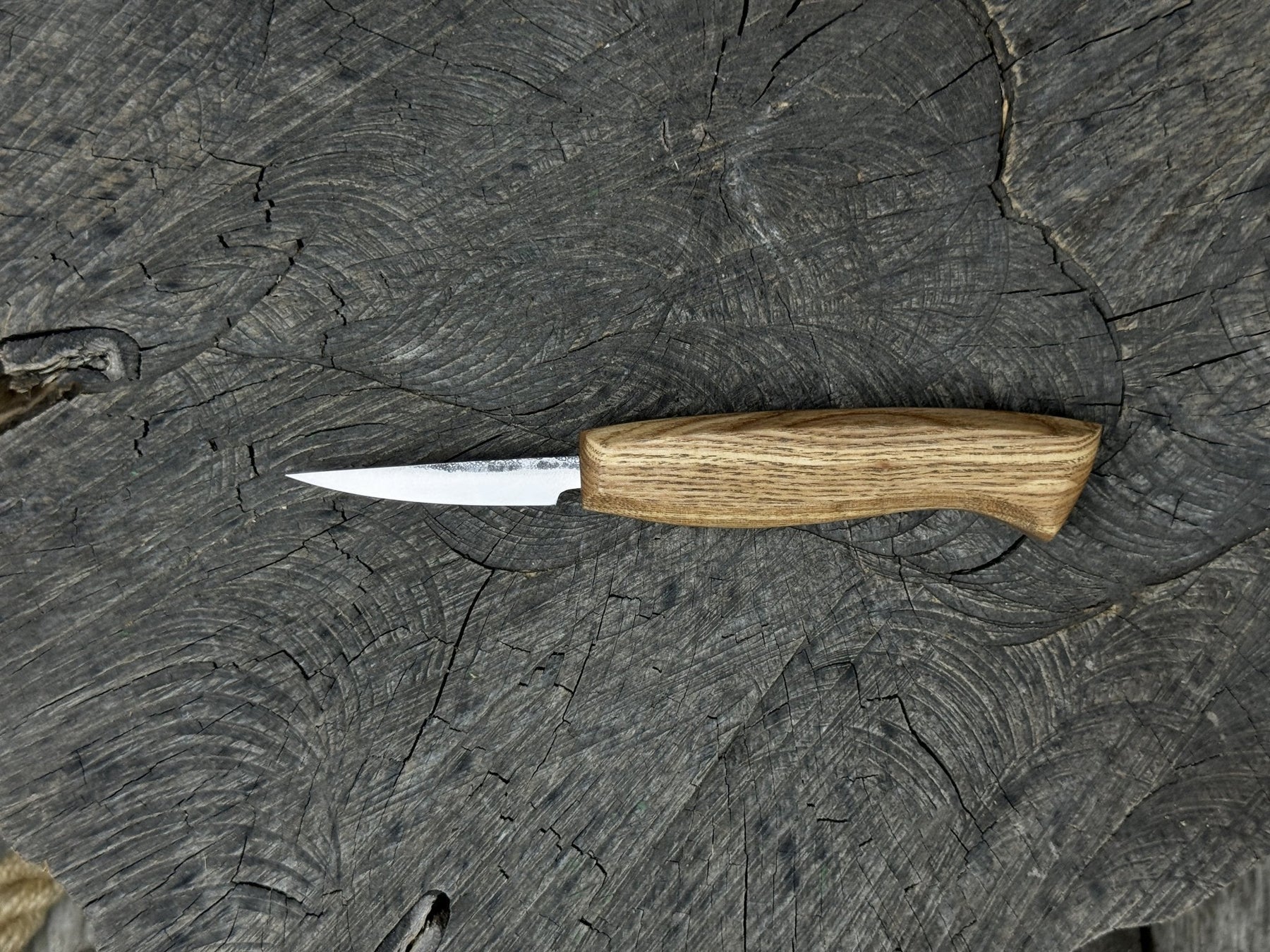 Wood Carving Sloyd Knife, Blade 6.5 cm (2.56 inches) detail view by Sharky Forged Steel Tools